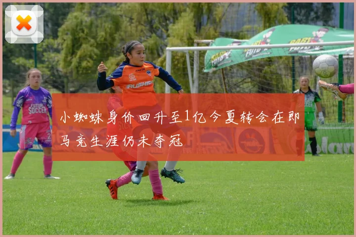 小蜘蛛身价回升至1亿今夏转会在即马竞生涯仍未夺冠
