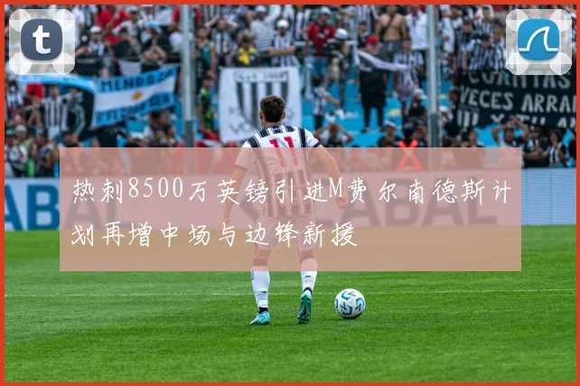 热刺8500万英镑引进M费尔南德斯计划再增中场与边锋新援